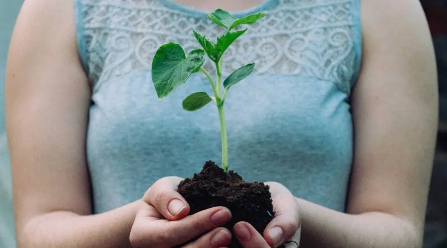 Las cinco cosas que hace el seguro por la sostenibilidad