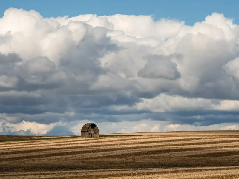 ¿Un mal año en la agricultura? Para eso también está el seguro
