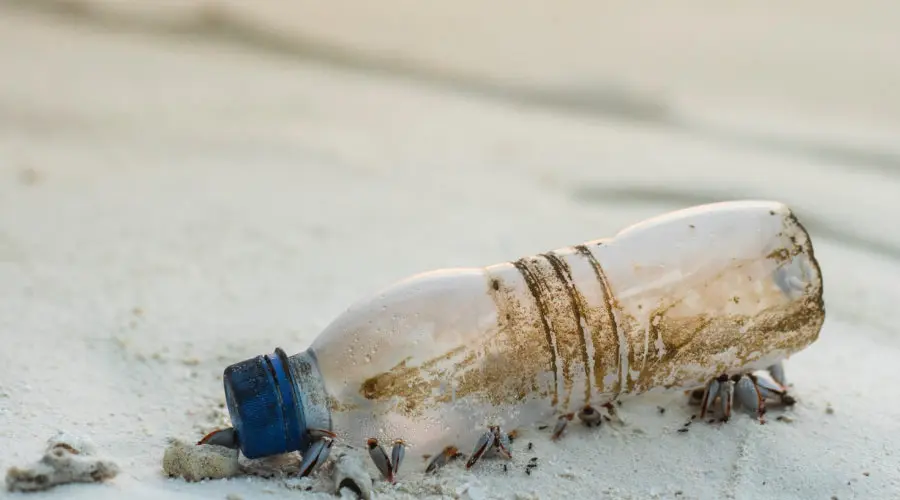 Reciclar las botellas de plástico tiene premio en Portugal