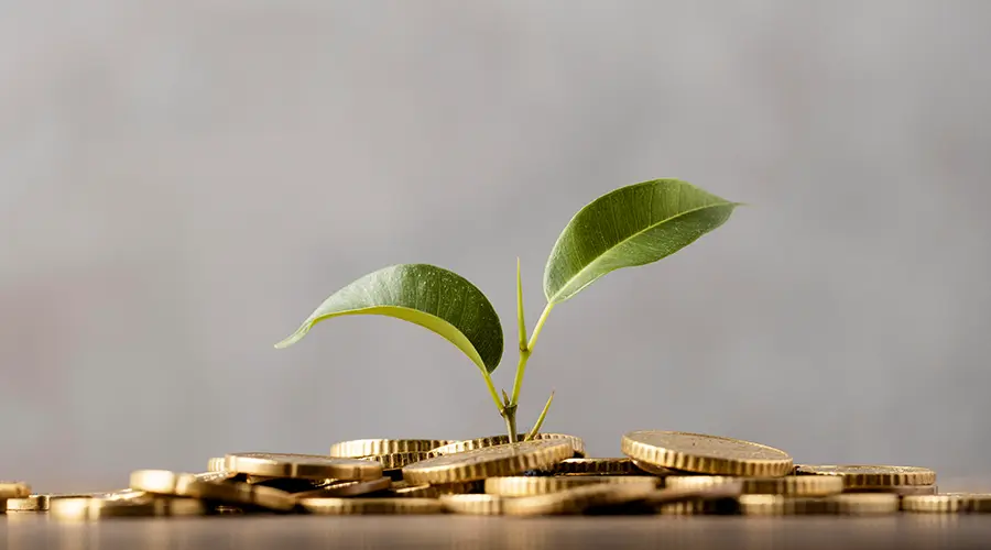 La solvencia de tu aseguradora, tu garantía de tranquilidad